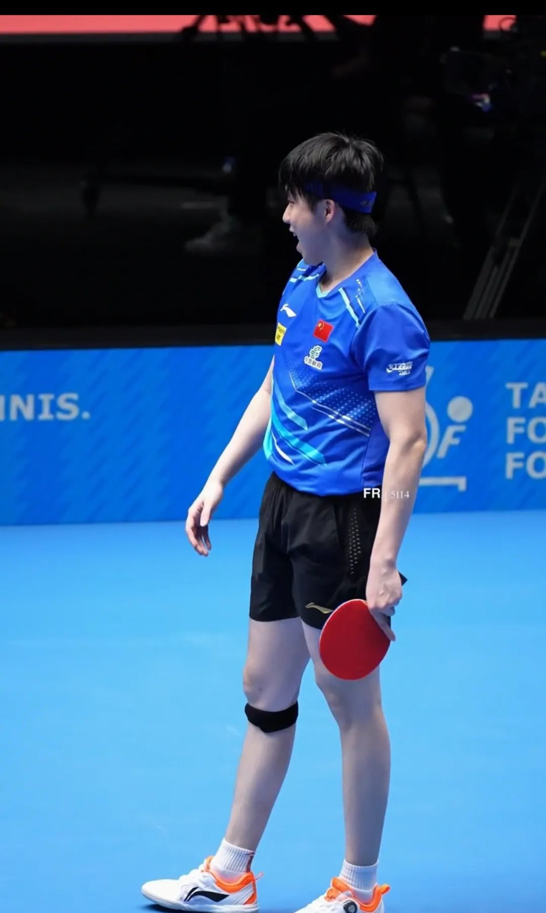 包含德国乒乓球队轻取日本乒乓球队，王皓完成帽子戏法的词条