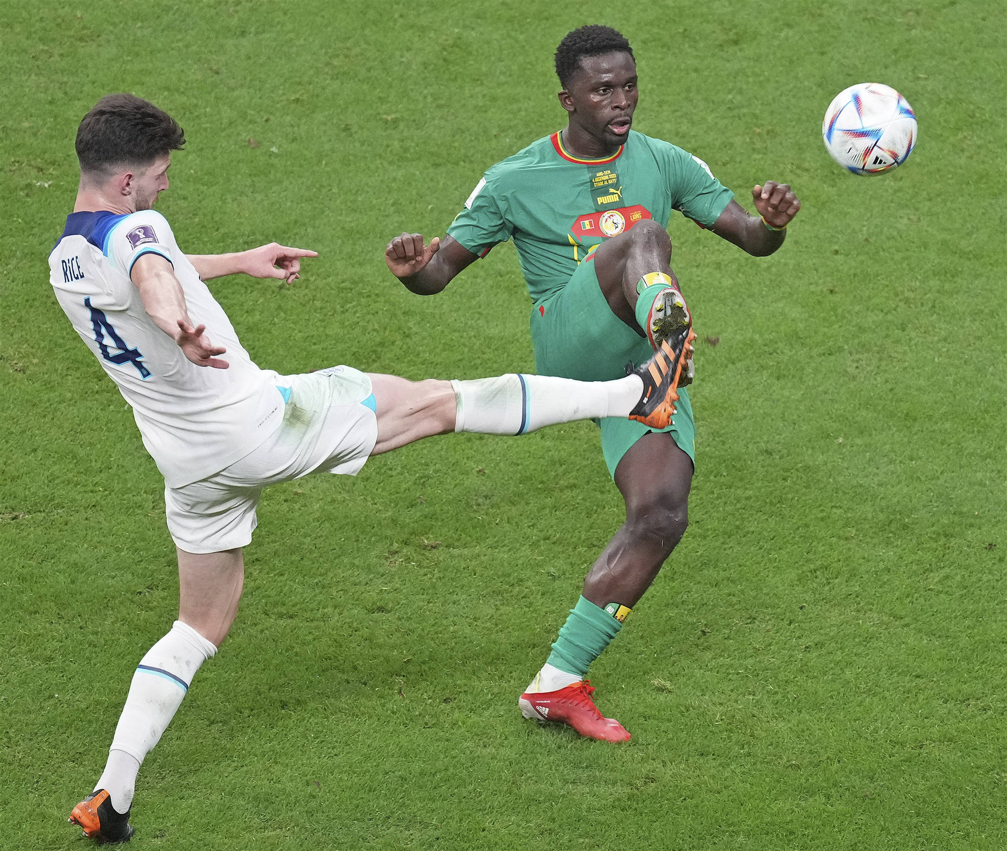 世界足球队在赛场上展现出色实力