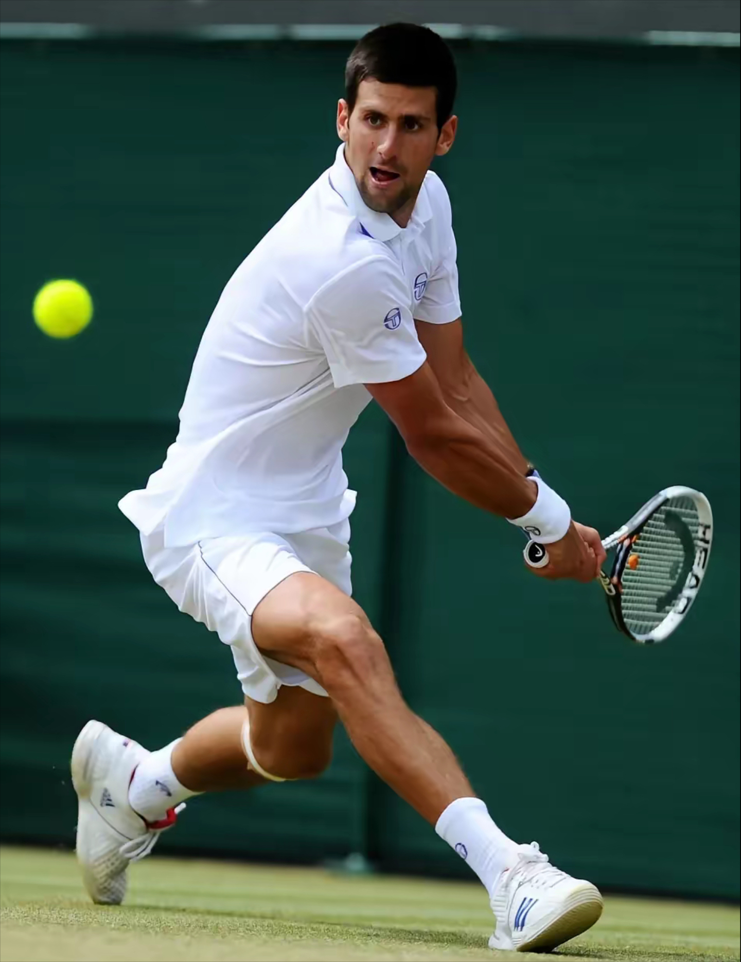 法国网球队强势欧洲网球队，德约科维奇完成帽子戏法的简单介绍