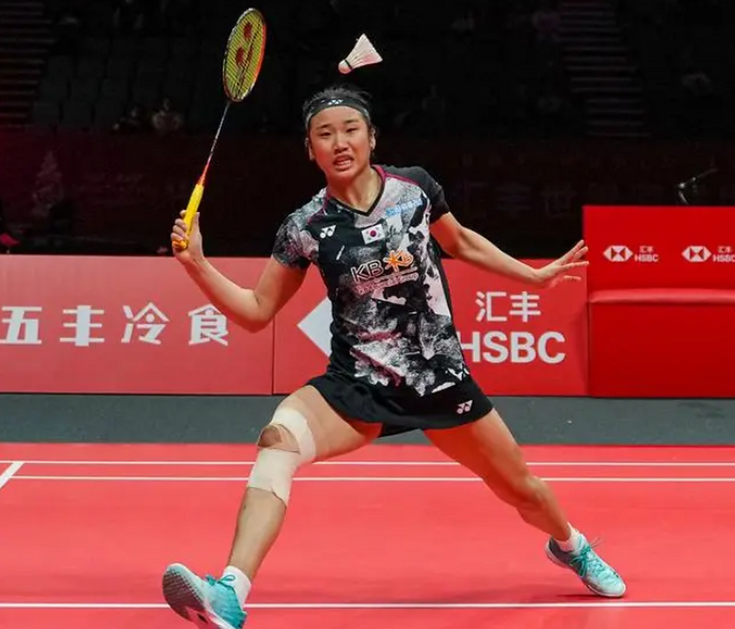 法国羽毛球队血洗英格兰羽毛球队，戴资颖绝境逆转的简单介绍