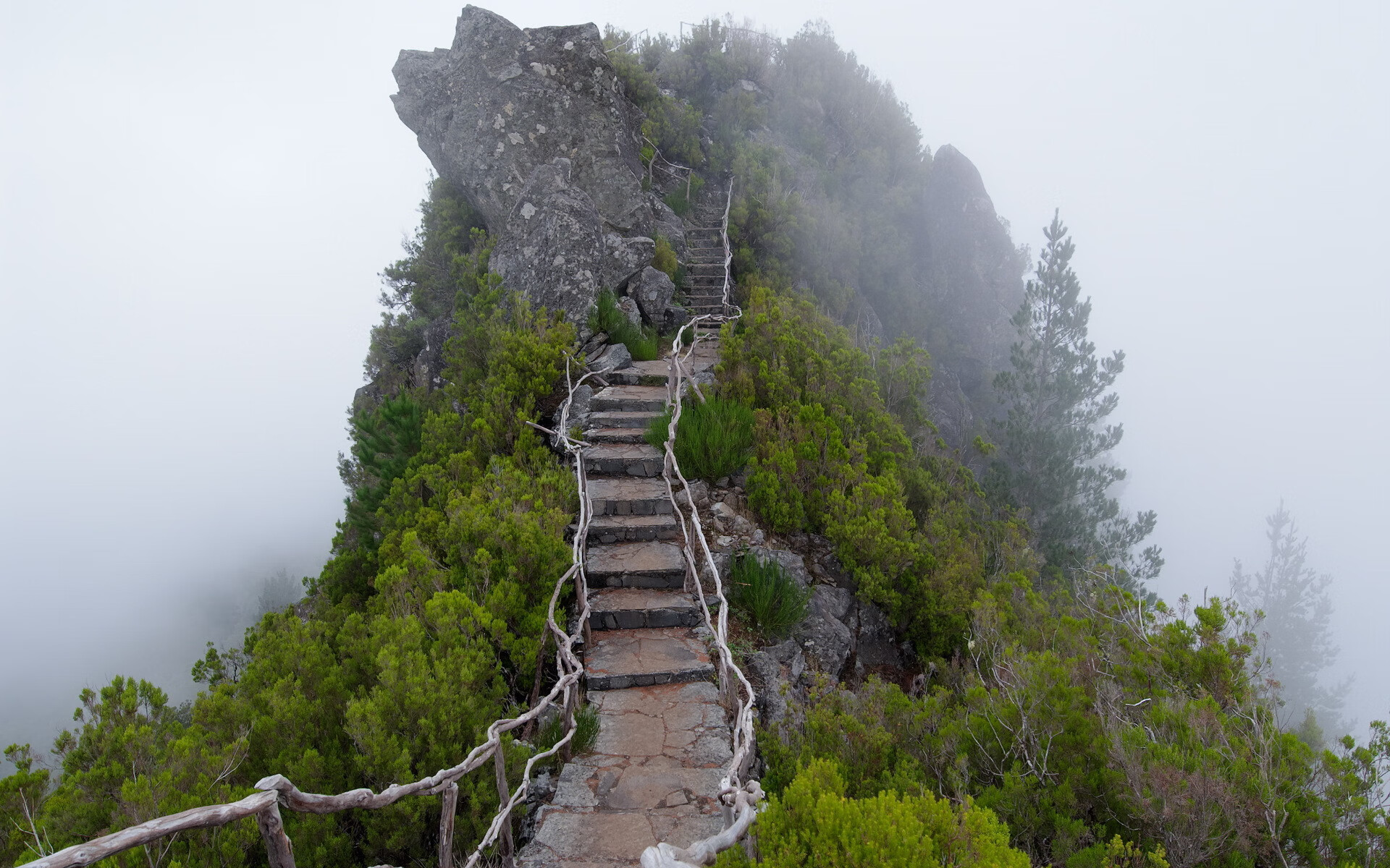 橙色风暴遭遇黑星节拍器，加纳式节奏如何重塑荷兰足球哲学